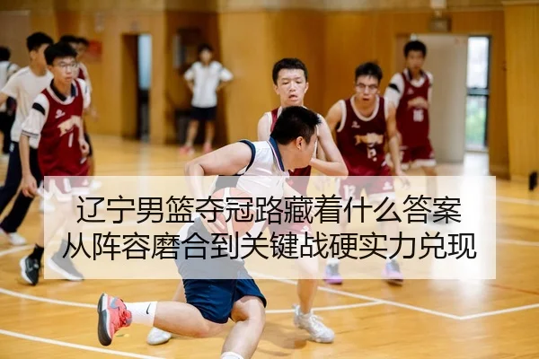 liao-ning-nan-lan-duo-guan-lu-cang-zhe-shen-me-da-an-cong-zhen-rong-mo-he-dao-guan-jian-zhan-ying-shi-li-dui-xian-2-688.jpg